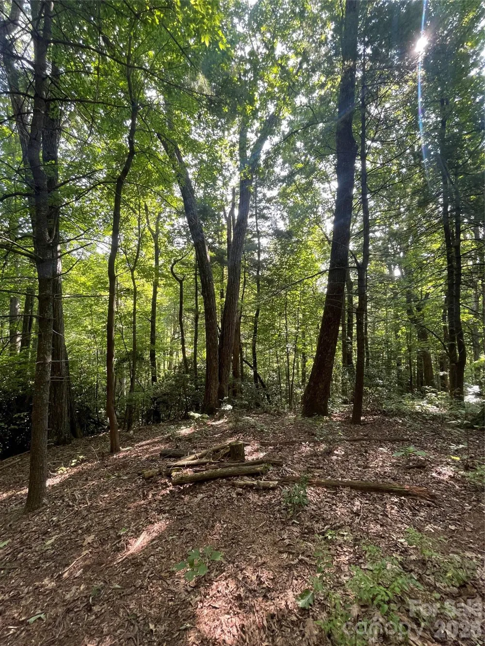 Lot # 21 Haverhill Court #21 Flat Rock, NC 28731
