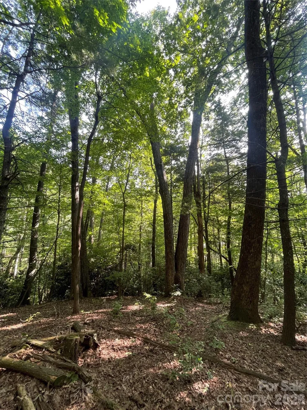 Lot # 21 Haverhill Court #21 Flat Rock, NC 28731