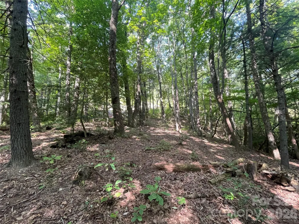 Lot # 21 Haverhill Court #21 Flat Rock, NC 28731