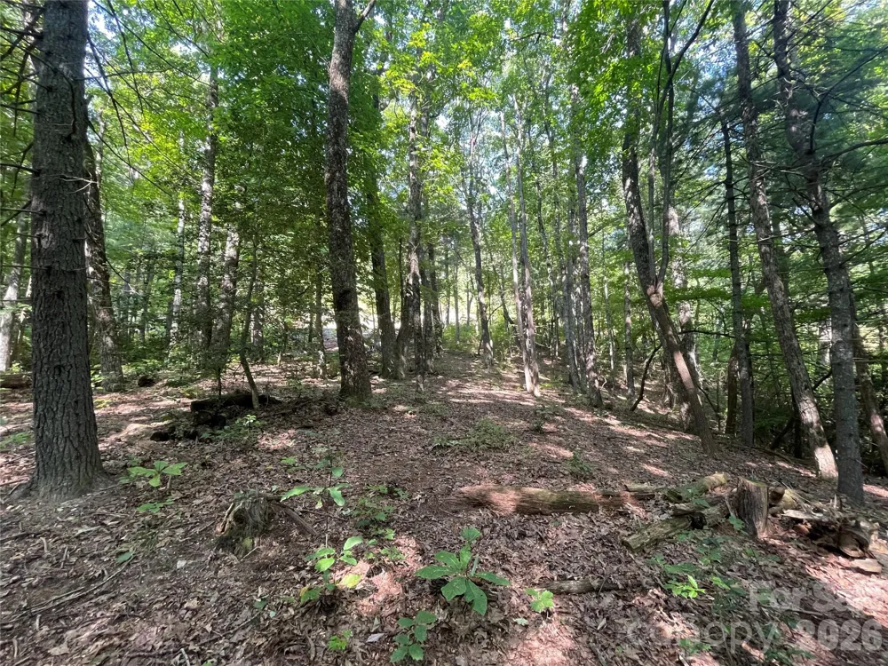 Lot # 21 Haverhill Court #21 Flat Rock, NC 28731