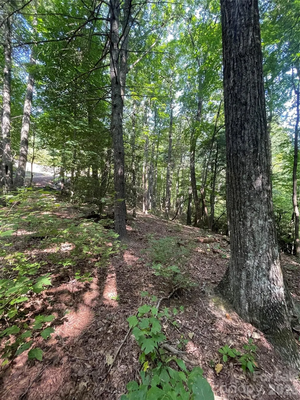 Lot # 21 Haverhill Court #21 Flat Rock, NC 28731