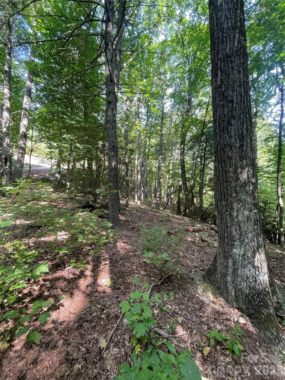 Lot # 21 Haverhill Court #21 Flat Rock, NC 28731