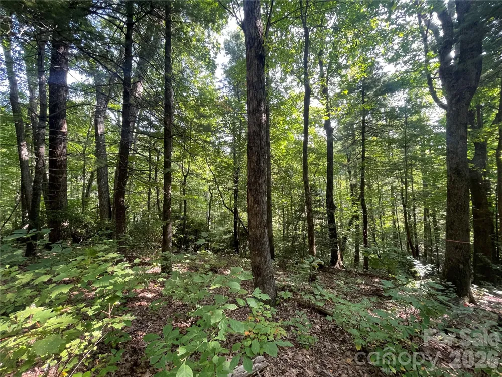 Lot # 21 Haverhill Court #21 Flat Rock, NC 28731