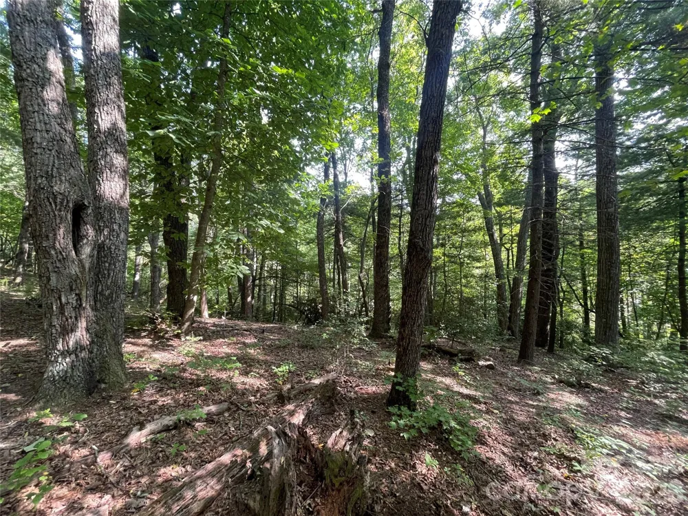 Lot # 21 Haverhill Court #21 Flat Rock, NC 28731