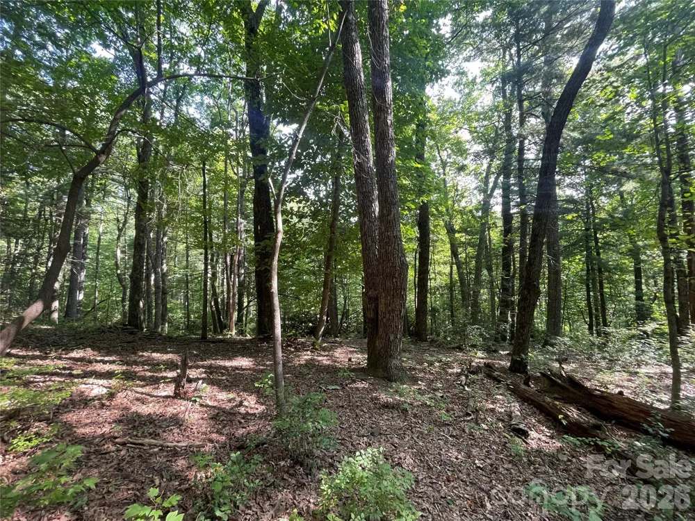 Lot # 21 Haverhill Court #21 Flat Rock, NC 28731