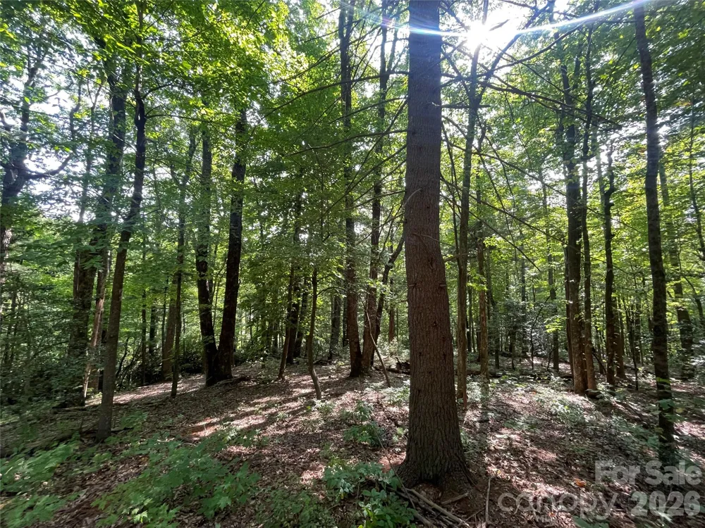 Lot # 21 Haverhill Court #21 Flat Rock, NC 28731
