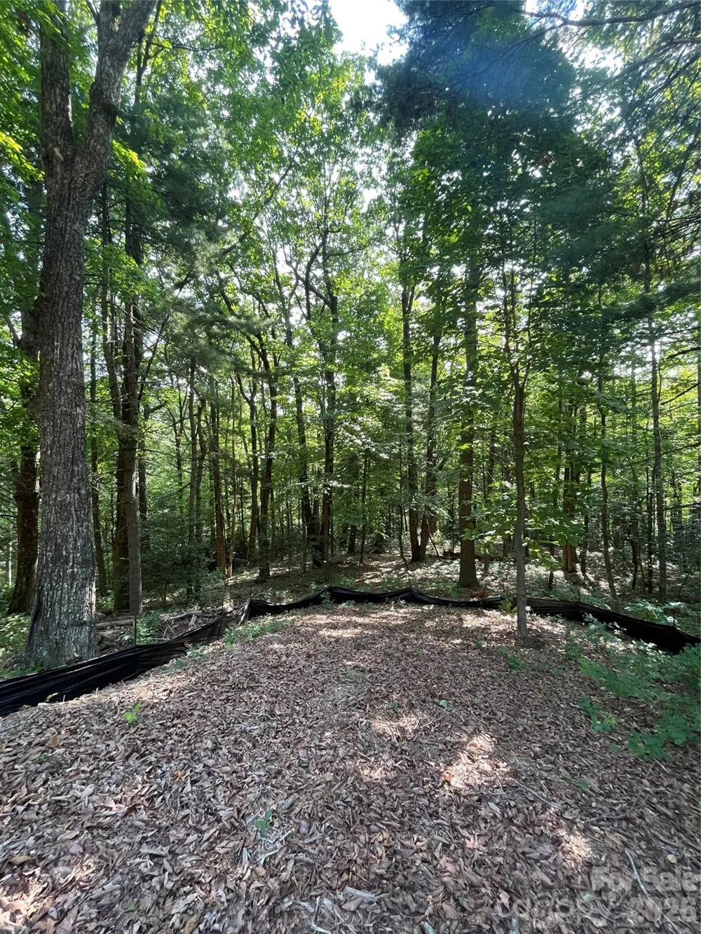 Lot # 21 Haverhill Court #21 Flat Rock, NC 28731