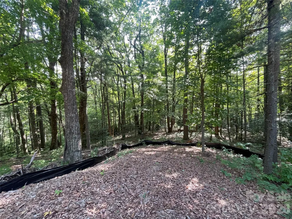 Lot # 21 Haverhill Court #21 Flat Rock, NC 28731