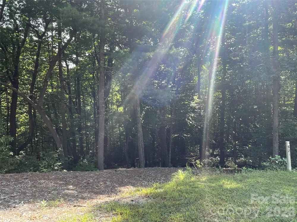 Lot # 21 Haverhill Court #21 Flat Rock, NC 28731