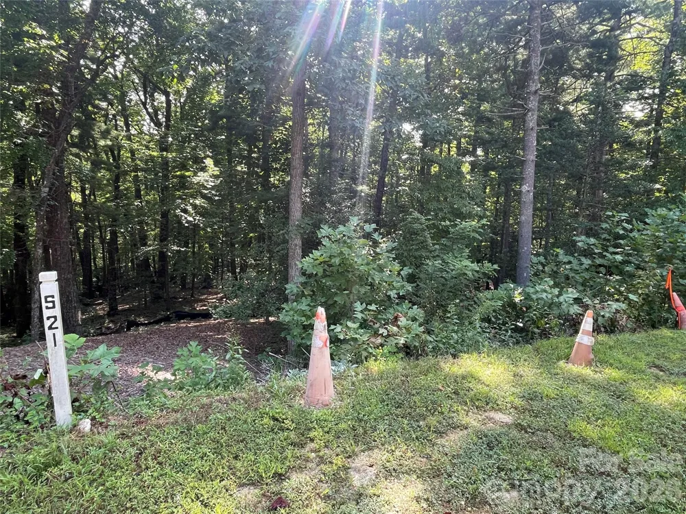 Lot # 21 Haverhill Court #21 Flat Rock, NC 28731