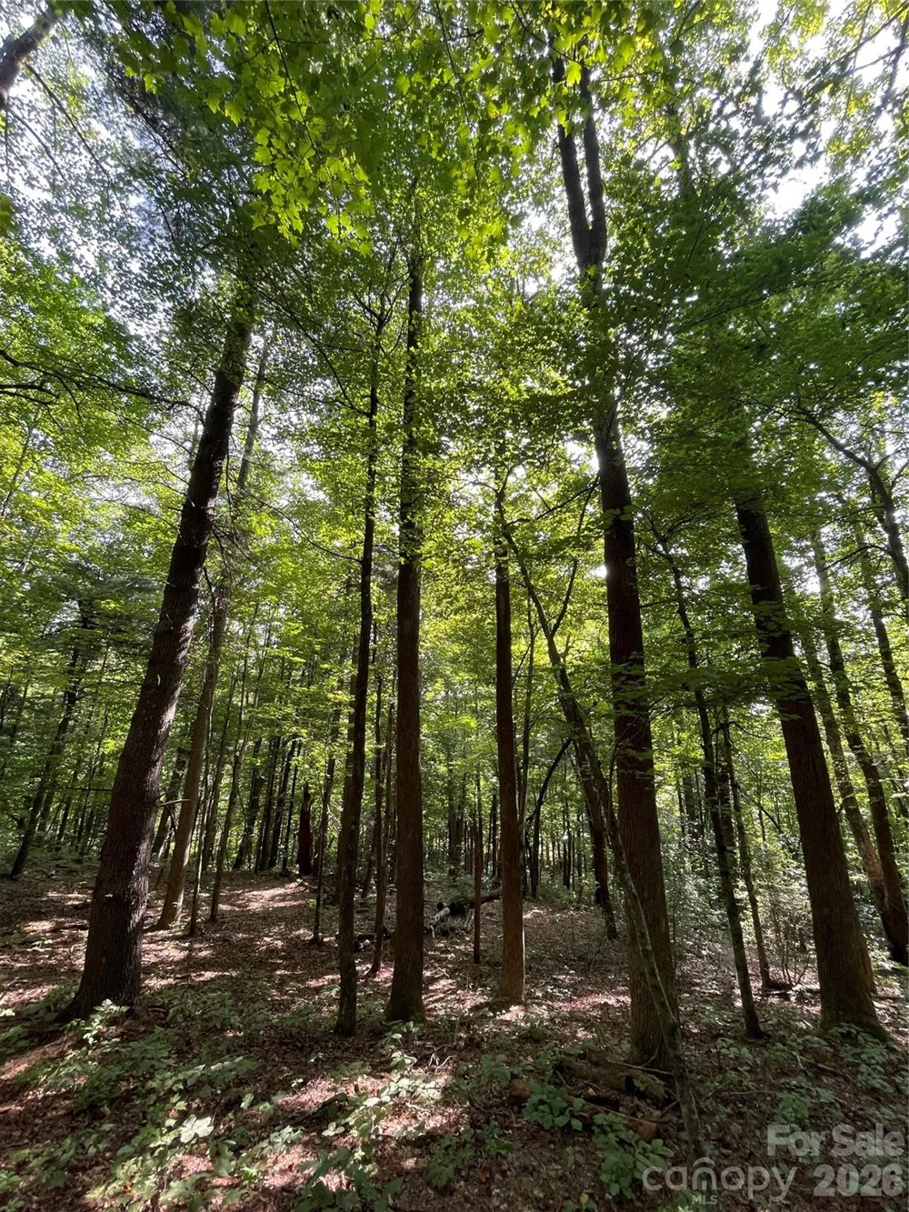 Lot 20 Haverhill Court #20 Flat Rock, NC 28731