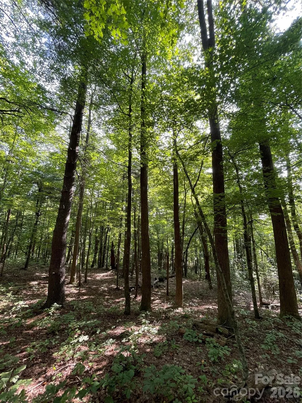Lot 20 Haverhill Court #20 Flat Rock, NC 28731