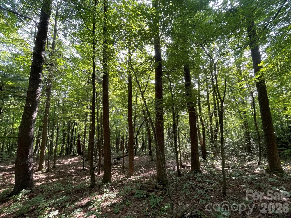 Lot 20 Haverhill Court #20 Flat Rock, NC 28731