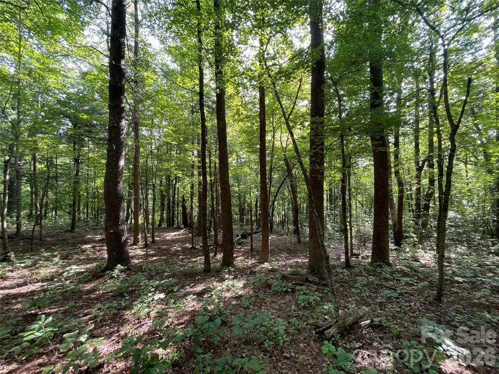 Lot 20 Haverhill Court #20 Flat Rock, NC 28731