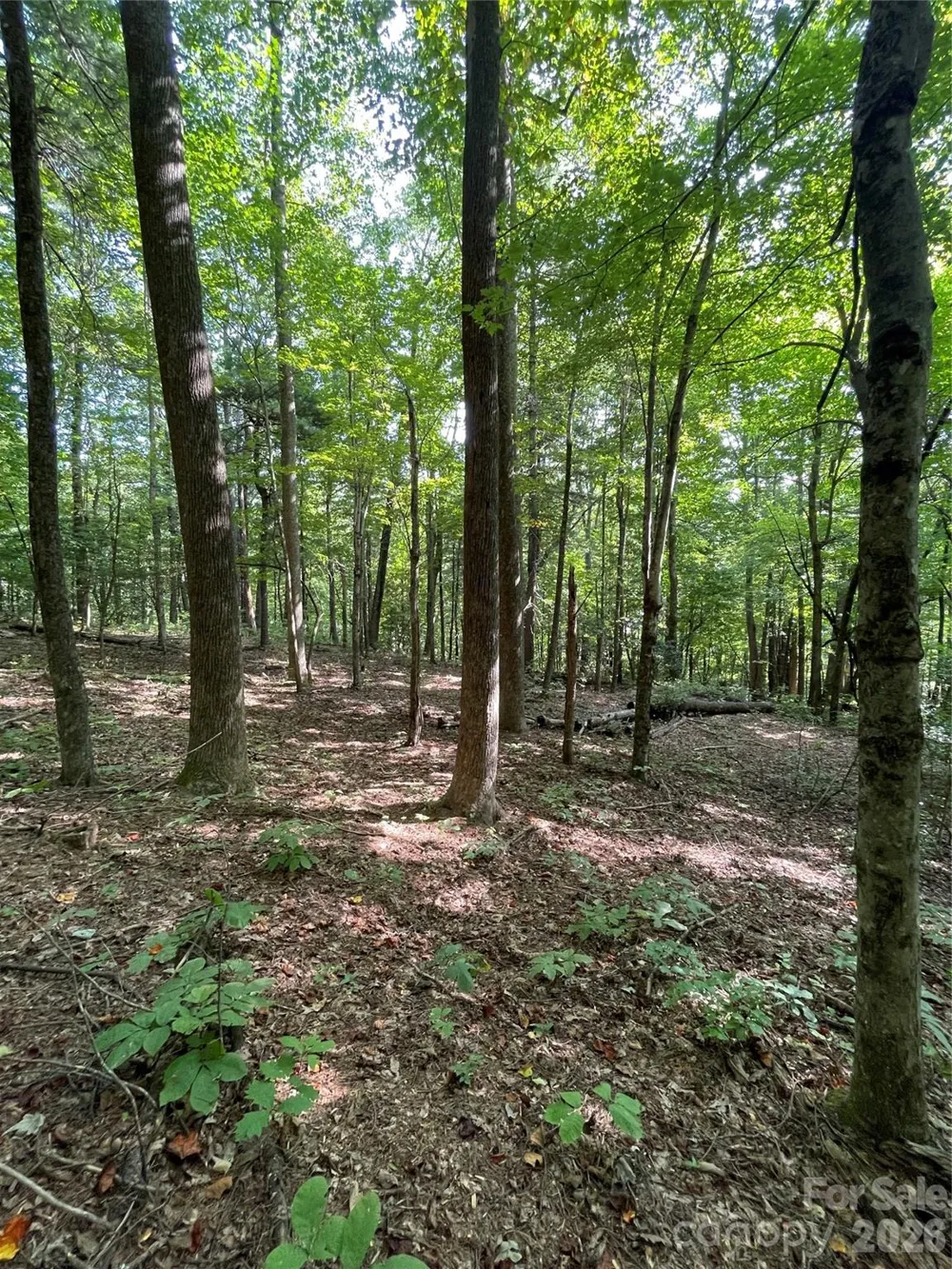 Lot 20 Haverhill Court #20 Flat Rock, NC 28731