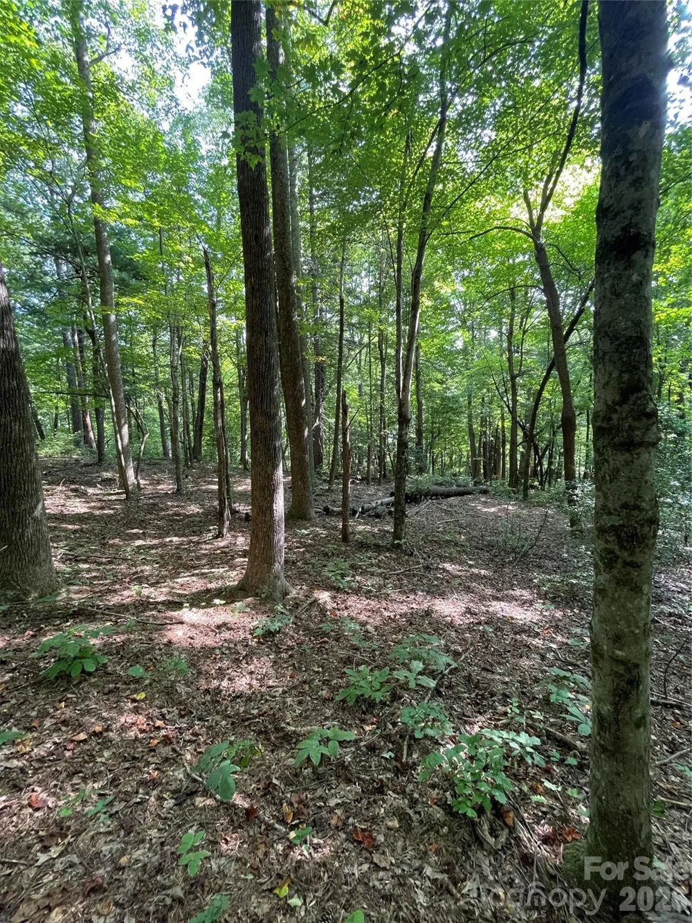 Lot 20 Haverhill Court #20 Flat Rock, NC 28731