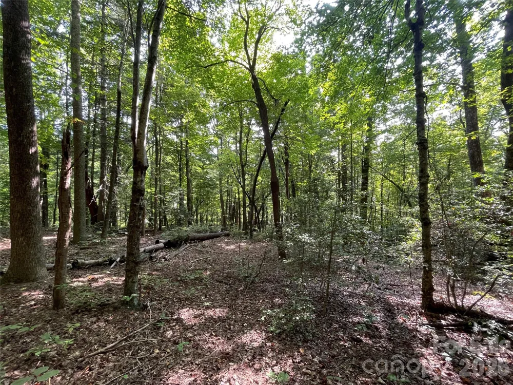 Lot 20 Haverhill Court #20 Flat Rock, NC 28731