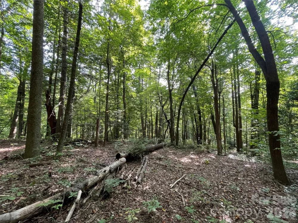 Lot 20 Haverhill Court #20 Flat Rock, NC 28731