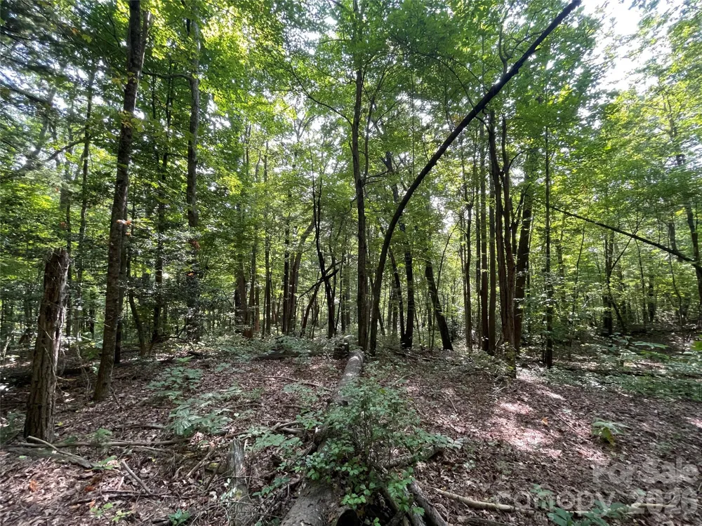 Lot 20 Haverhill Court #20 Flat Rock, NC 28731