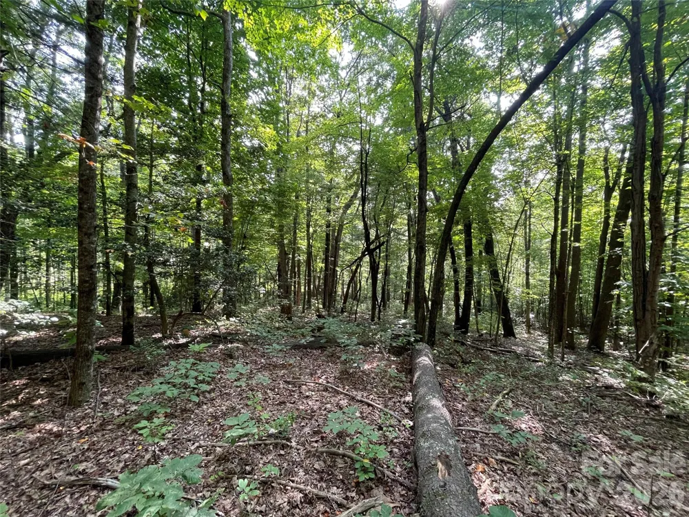Lot 20 Haverhill Court #20 Flat Rock, NC 28731