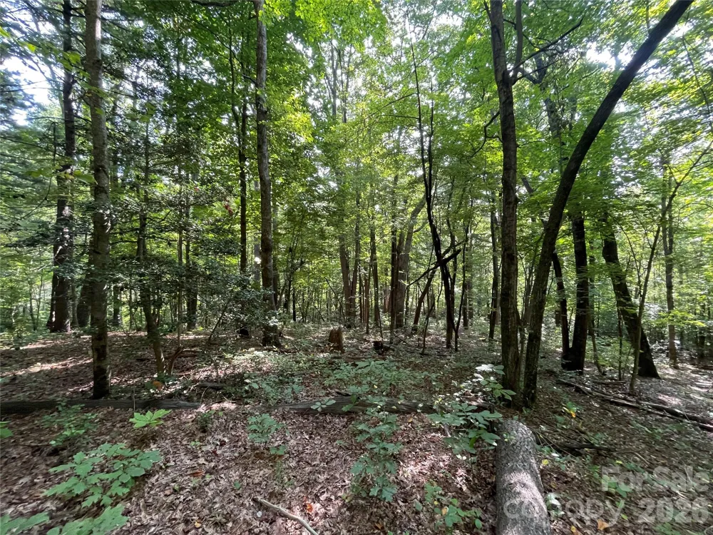 Lot 20 Haverhill Court #20 Flat Rock, NC 28731