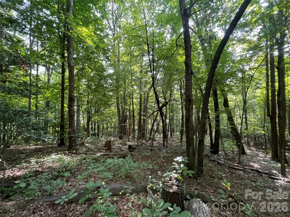 Lot 20 Haverhill Court #20 Flat Rock, NC 28731