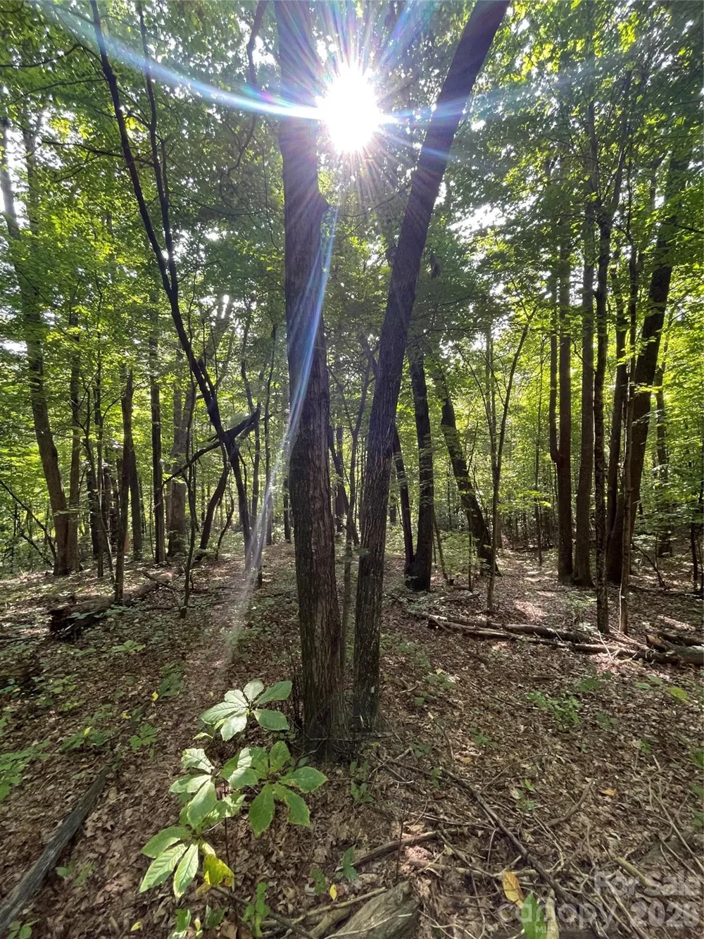 Lot 20 Haverhill Court #20 Flat Rock, NC 28731