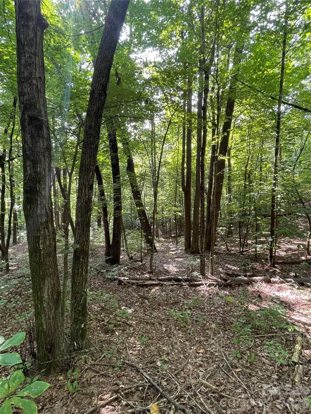 Lot 20 Haverhill Court #20 Flat Rock, NC 28731