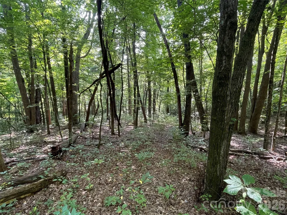 Lot 20 Haverhill Court #20 Flat Rock, NC 28731