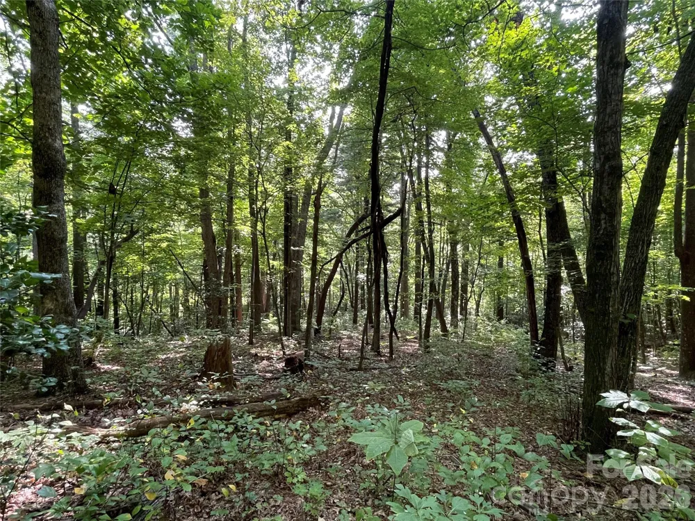Lot 20 Haverhill Court #20 Flat Rock, NC 28731