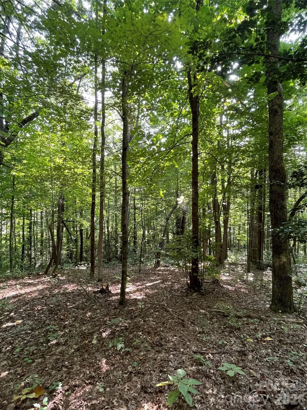 Lot 20 Haverhill Court #20 Flat Rock, NC 28731