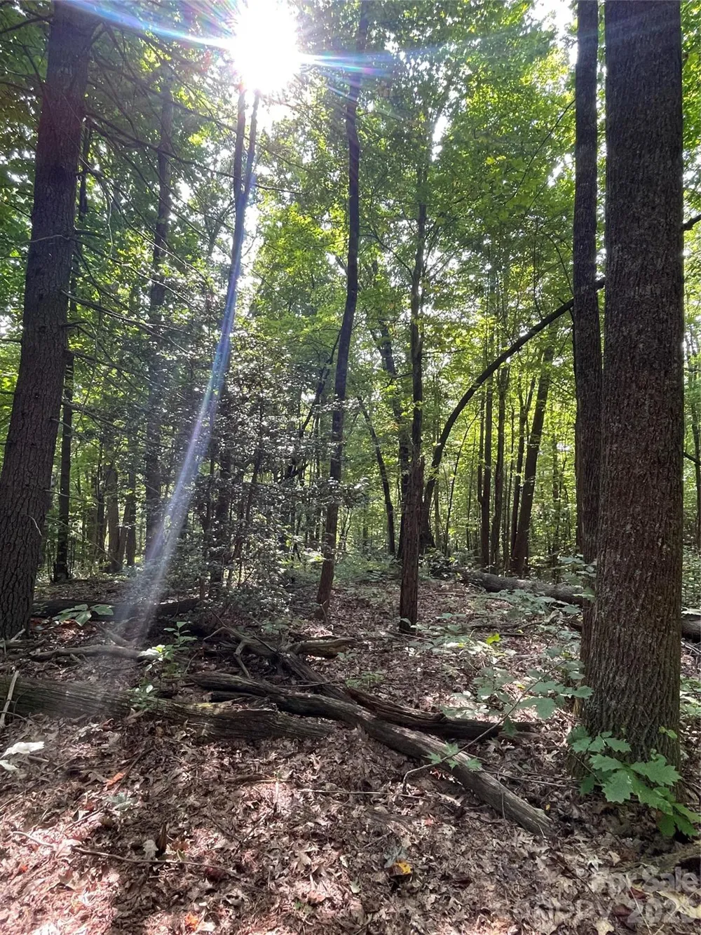 Lot 20 Haverhill Court #20 Flat Rock, NC 28731