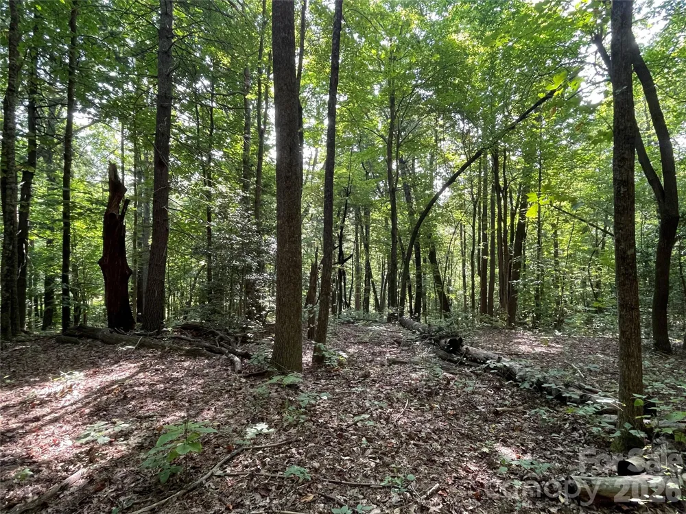 Lot 20 Haverhill Court #20 Flat Rock, NC 28731