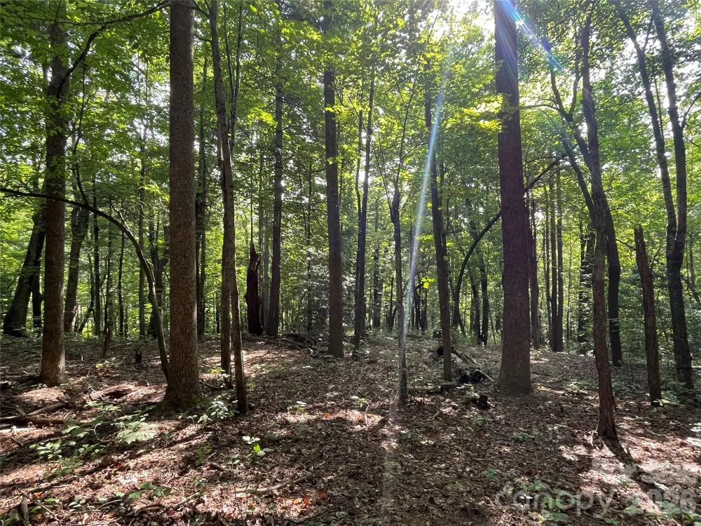 Lot 20 Haverhill Court #20 Flat Rock, NC 28731