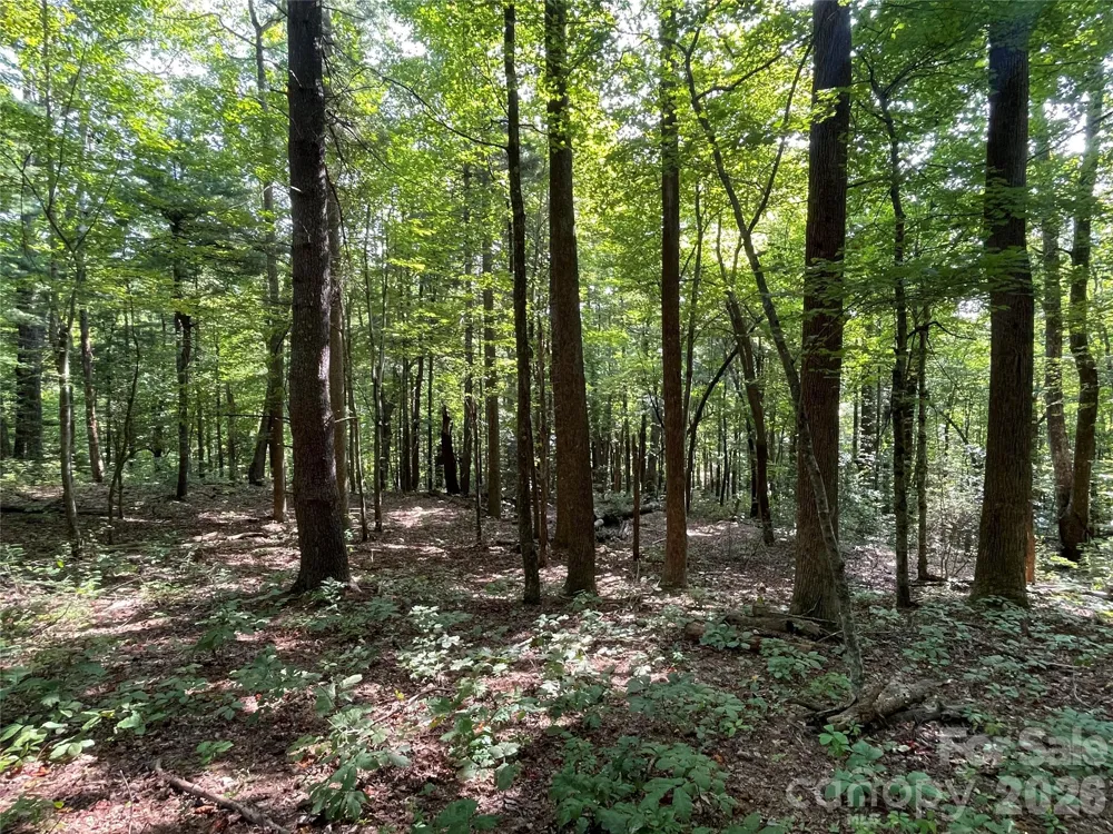 Lot 20 Haverhill Court #20 Flat Rock, NC 28731
