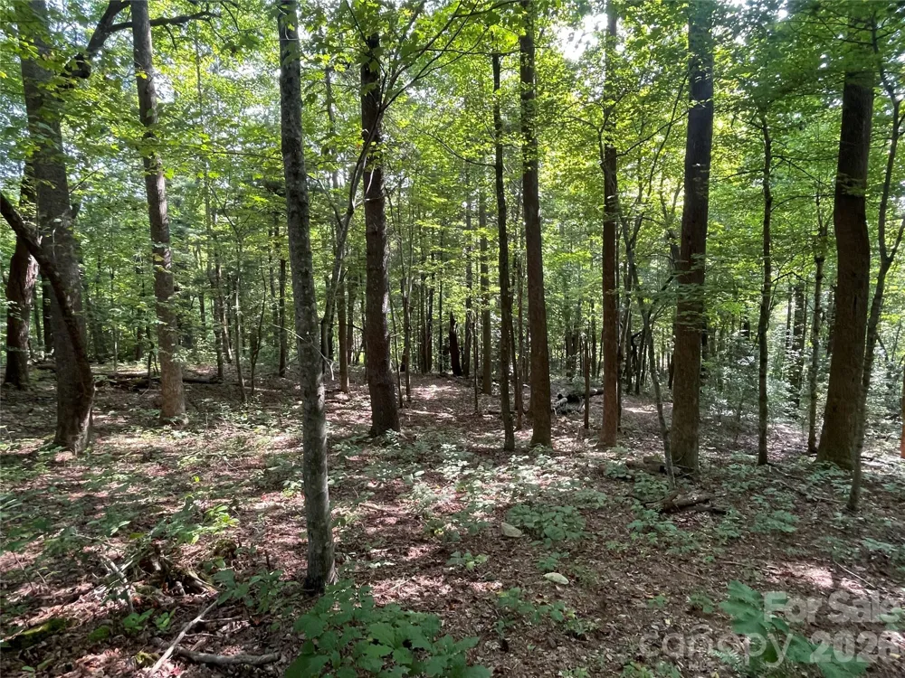 Lot 20 Haverhill Court #20 Flat Rock, NC 28731