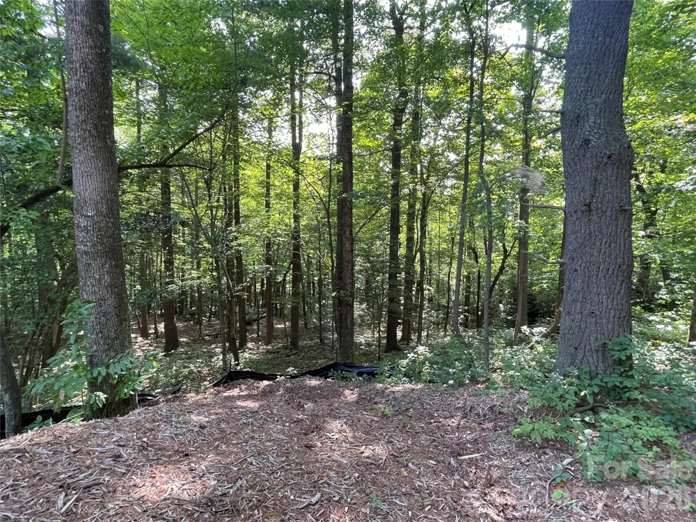 Lot 20 Haverhill Court #20 Flat Rock, NC 28731