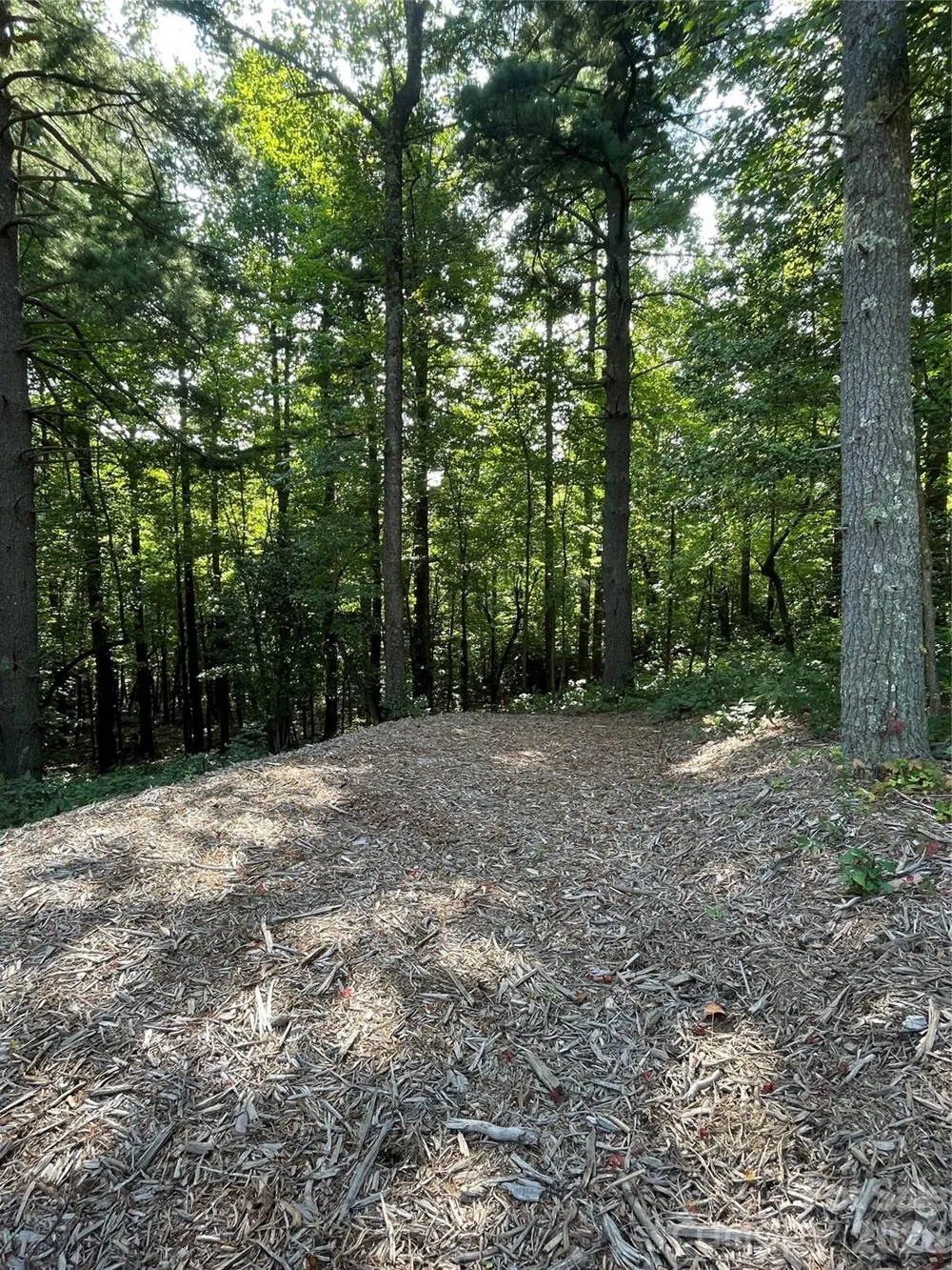 Lot 20 Haverhill Court #20 Flat Rock, NC 28731