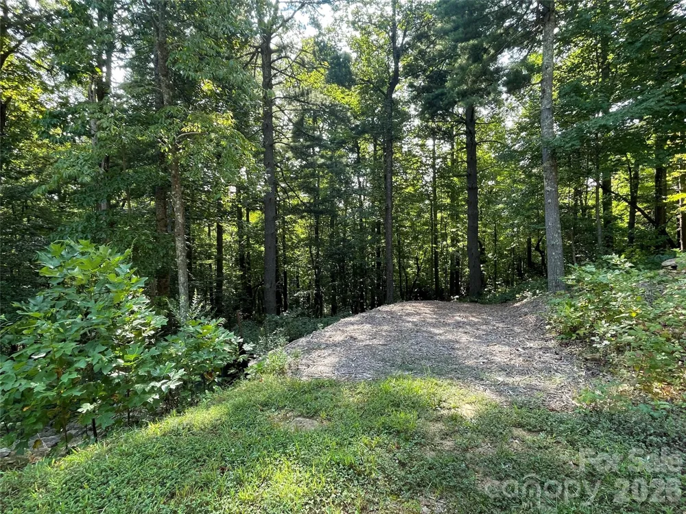 Lot 20 Haverhill Court #20 Flat Rock, NC 28731