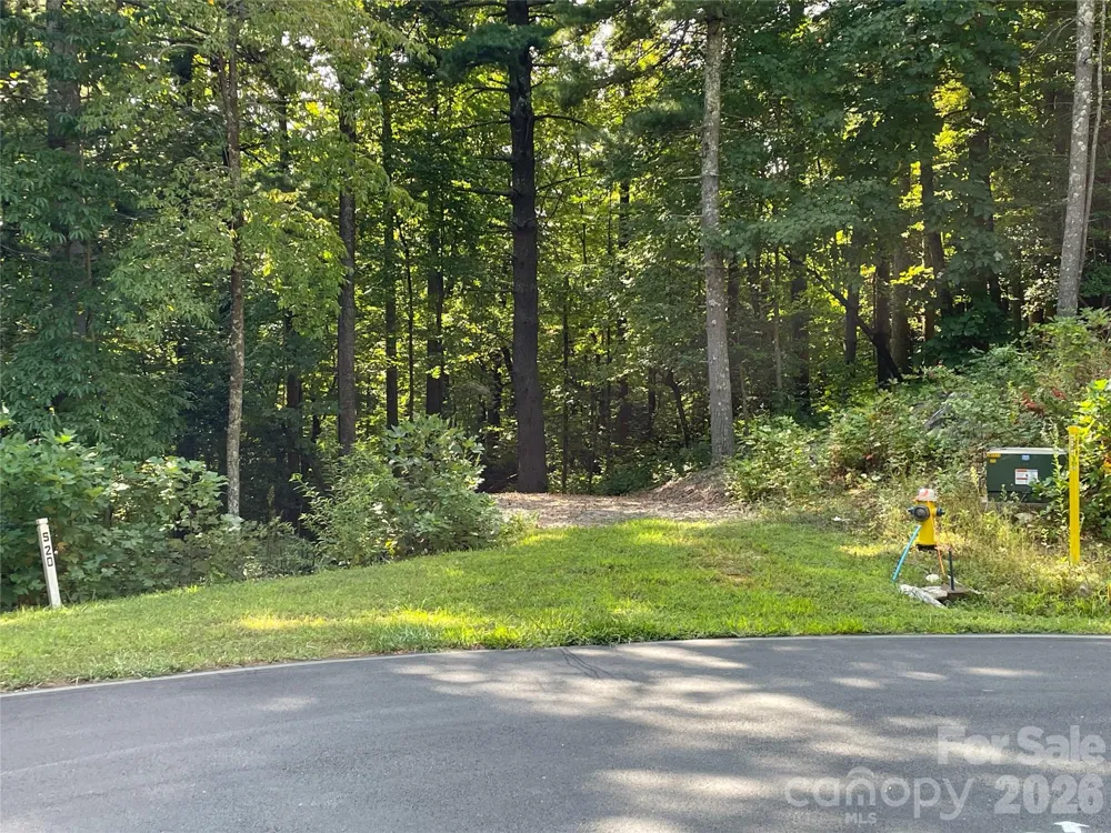 Lot 20 Haverhill Court #20 Flat Rock, NC 28731