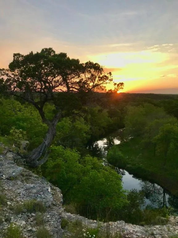 1500 County Road 279 Liberty Hill, TX 78642