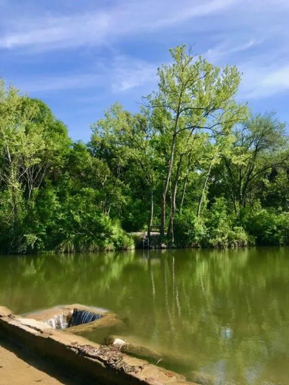 1500 County Road 279 Liberty Hill, TX 78642