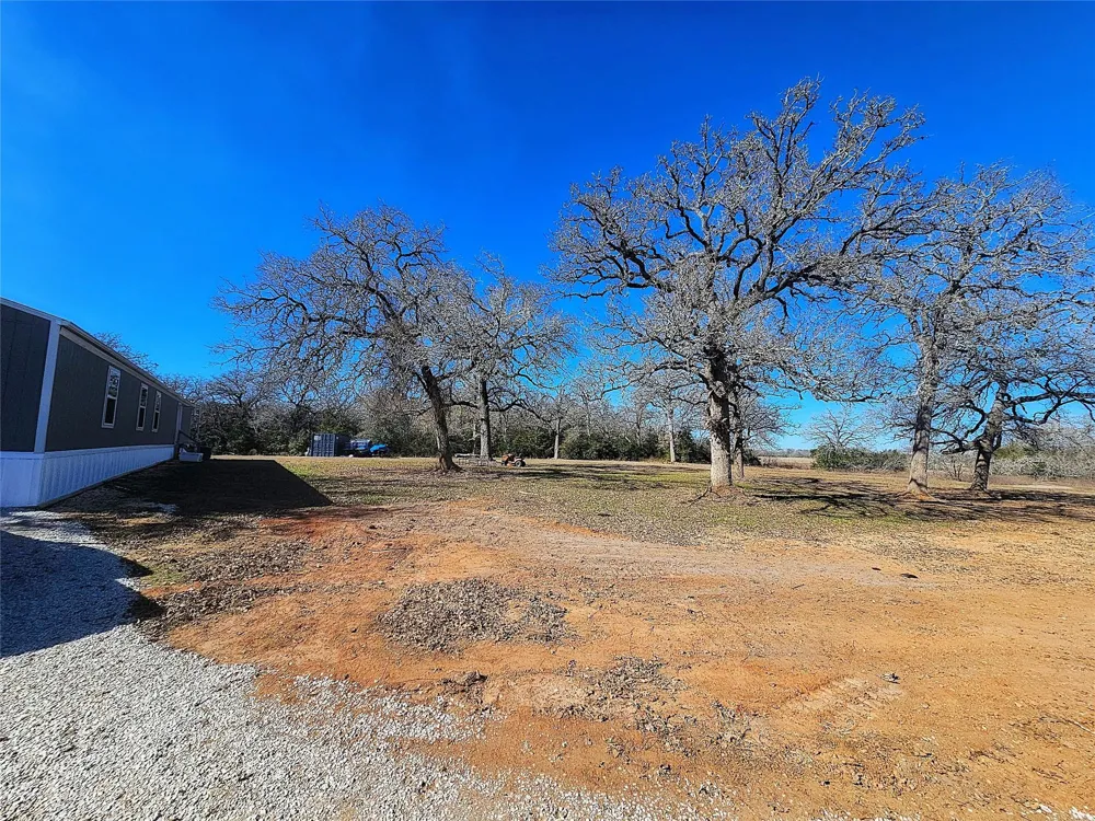 8383 Fm-60 Somerville, TX 77879