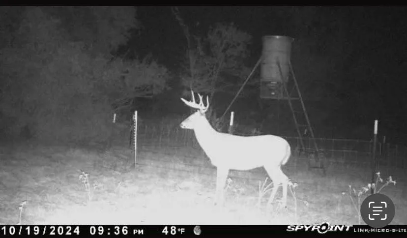 8383 Fm-60 Somerville, TX 77879