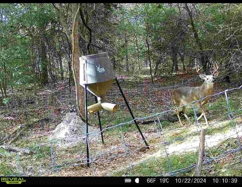 8383 Fm-60 Somerville, TX 77879