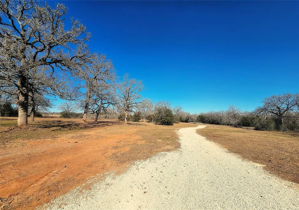 8383 Fm-60 Somerville, TX 77879