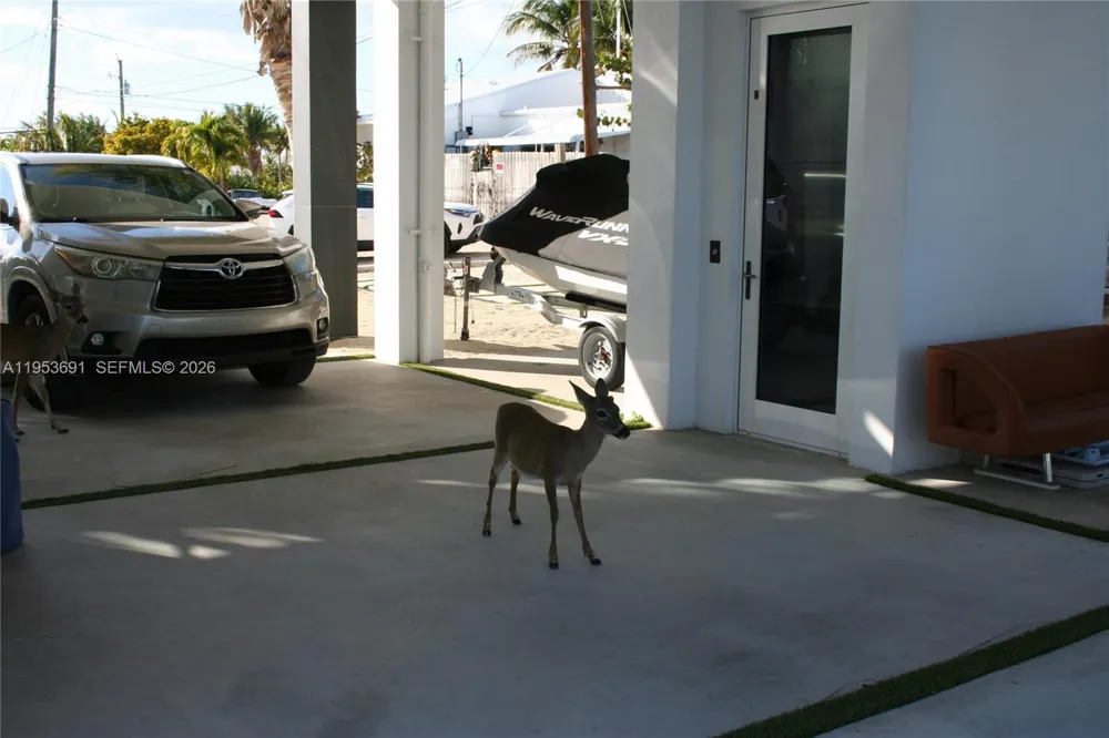 1553 Sunrise Dr Big Pine, FL 33043