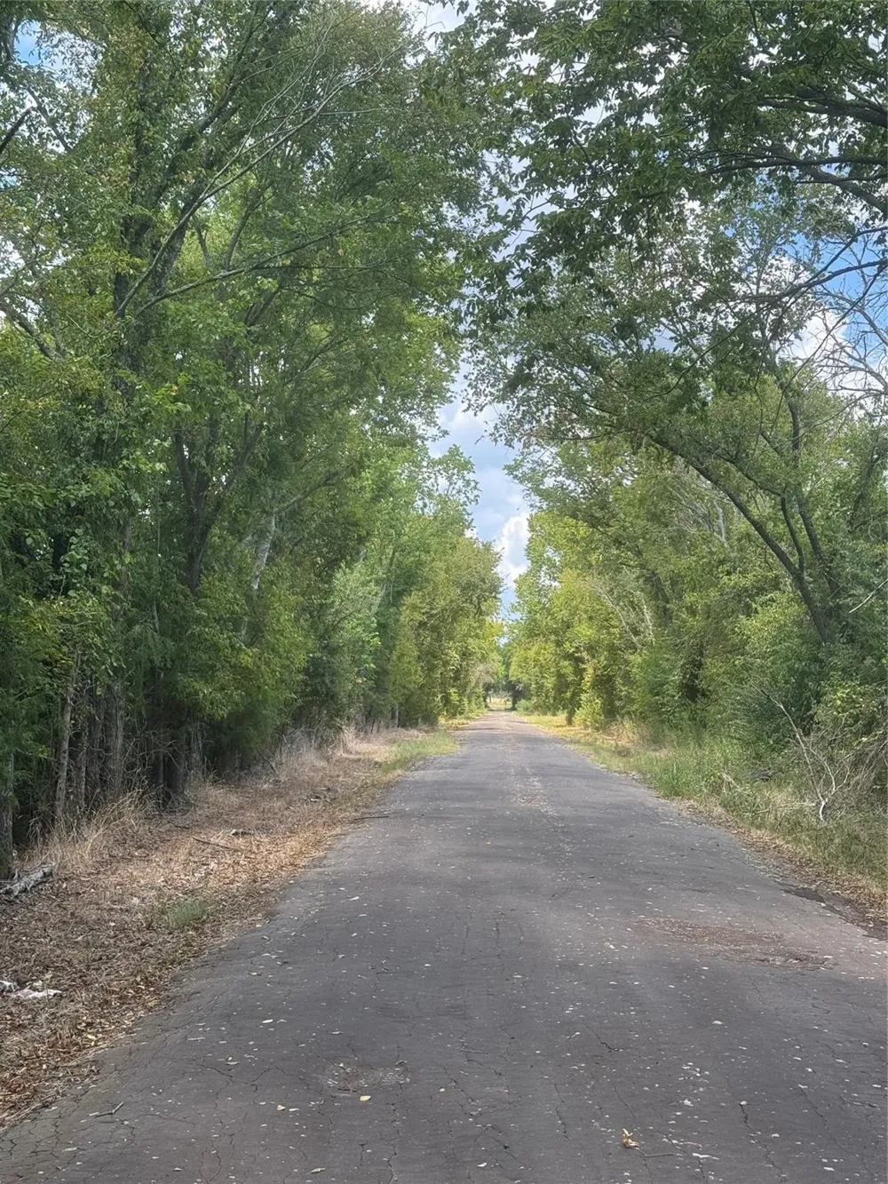 211 County Road 430 Mexia, TX 76667