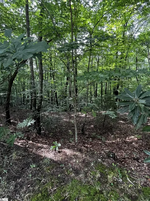 000 Cliff Ridge Drive #Lot 253