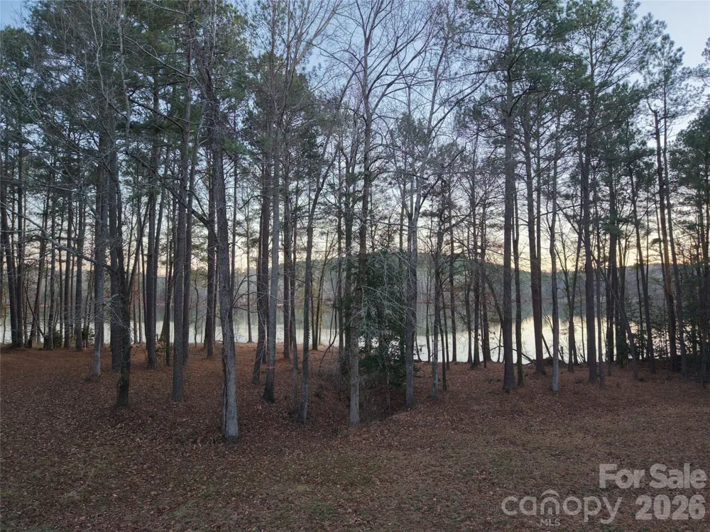 TBD Spencer Pointe Road Lilesville, NC 28091